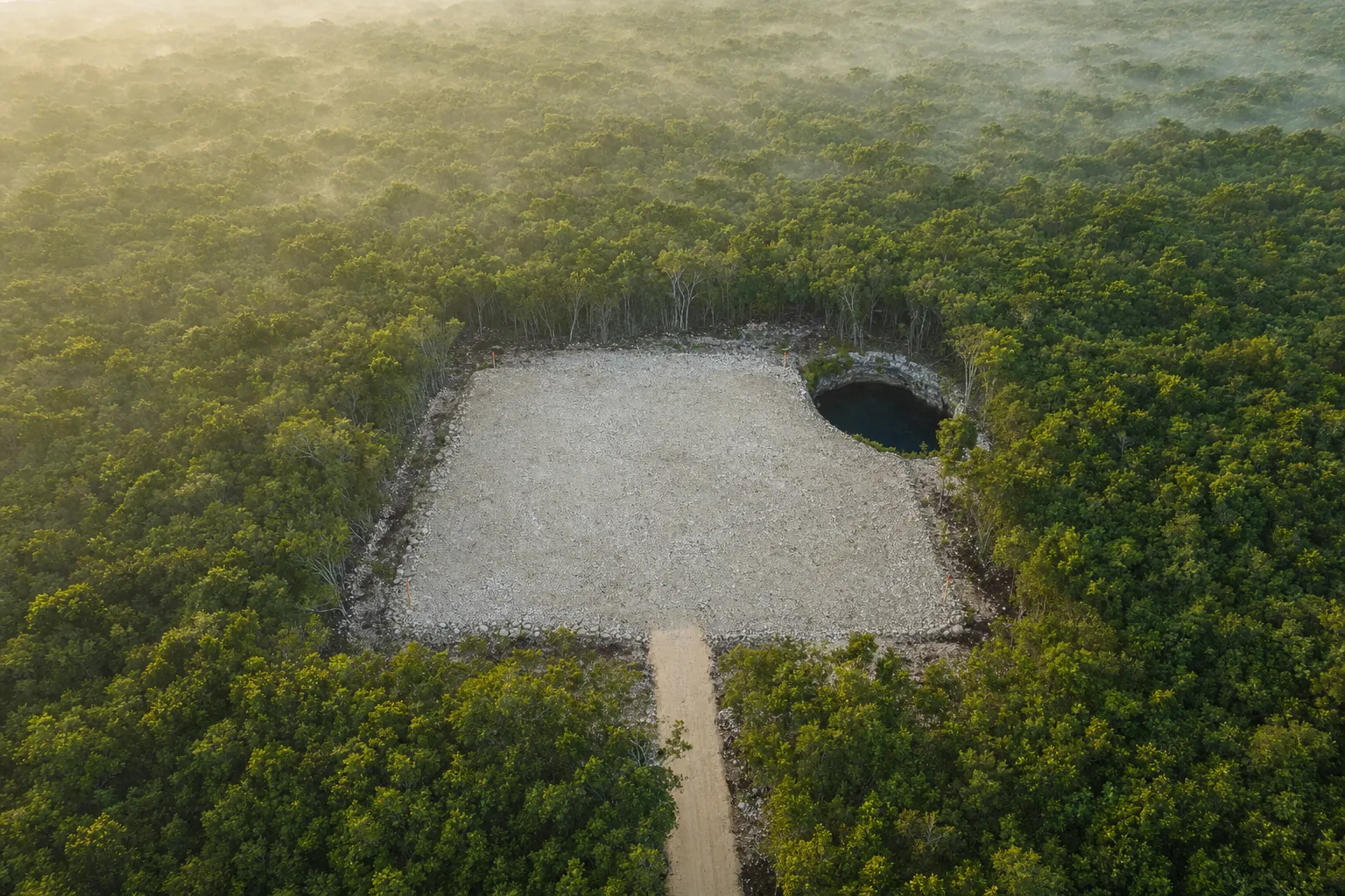 Lote desmontado en la selva de Tulum, con las estacas de mensura en las esquinas y un cenote a un costado